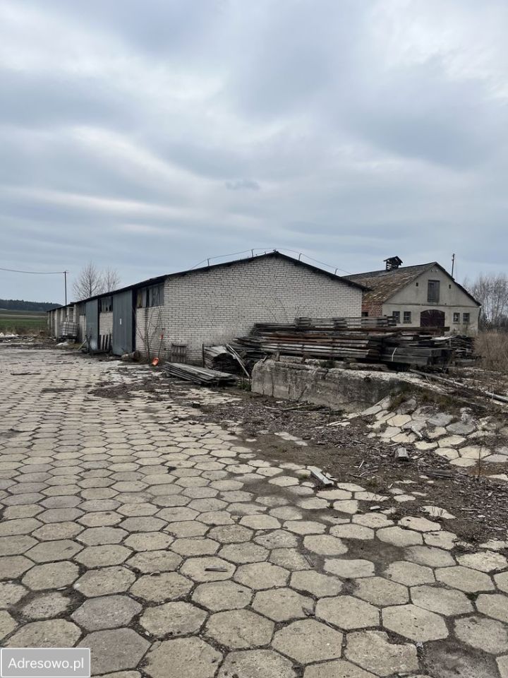 Nieruchomość komercyjna Bończa. Zdjęcie 2