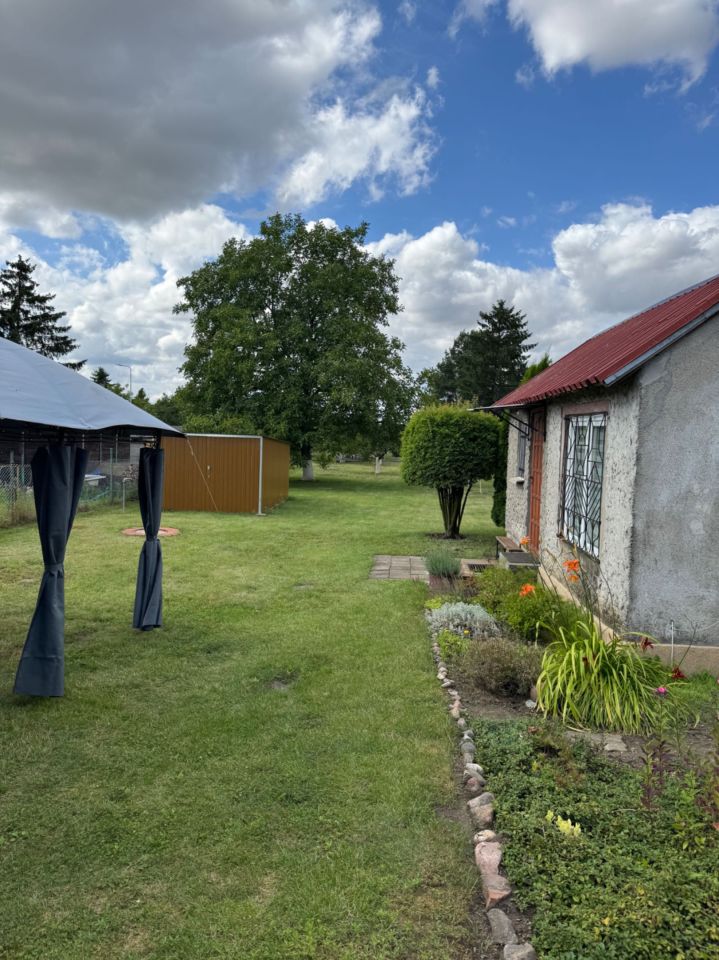 Działka rod Chełmża. Zdjęcie 6