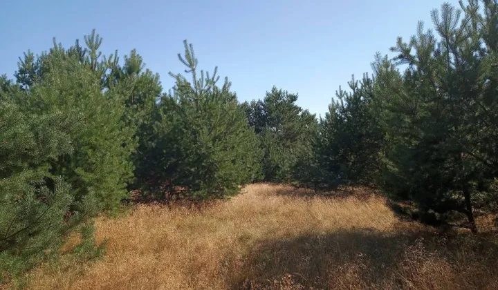 Działka budowlana Smołdzino, ul. Jeziorna