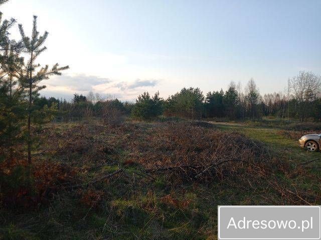 Działka rekreacyjna Leleszki. Zdjęcie 2