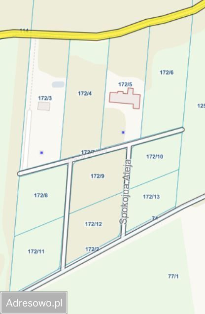 Działka budowlana Szymanówek Biała, ul. Aleja Grzybowa. Zdjęcie 6