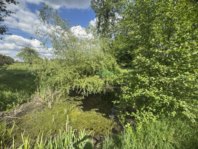 Działka siedliskowa Konstantynów Łódzki, ul. Dąbrowa. Zdjęcie 10