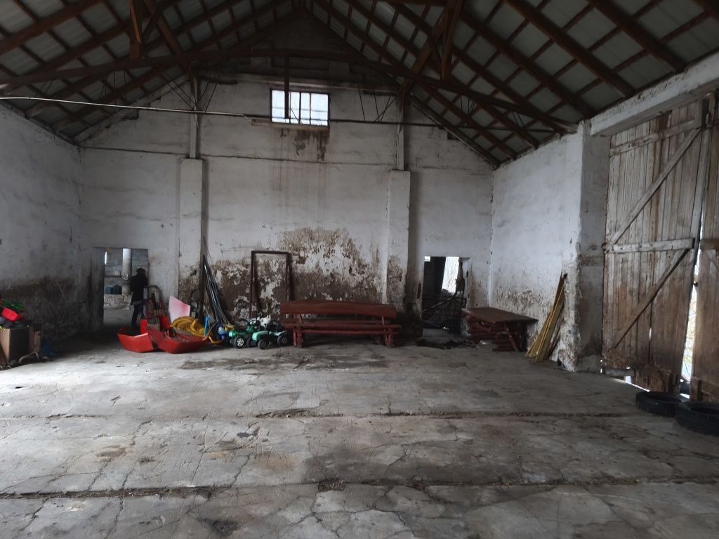 gospodarstwo Lipie. Zdjęcie 5