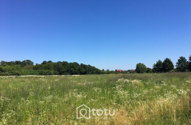 Działka budowlana Święcice, ul. Słoneczna. Zdjęcie 2