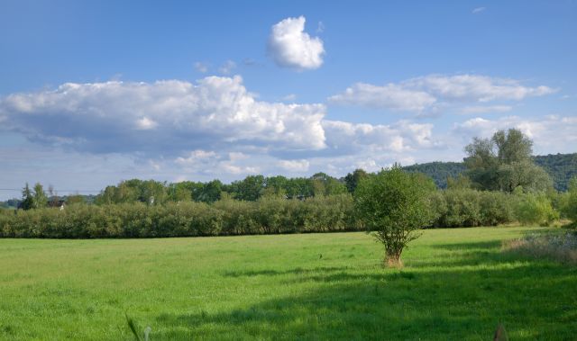Działka rolna Gdów, ul. Stawowa. Zdjęcie 4