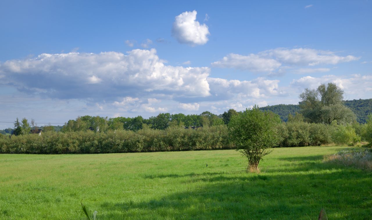 Działka rolna Gdów, ul. Stawowa. Zdjęcie 4