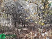 Działka budowlana Żółwin. Zdjęcie 4