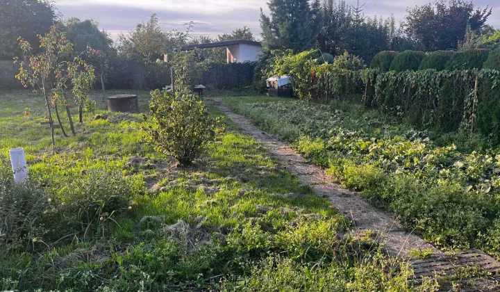 Działka rod Braniewo, ul. Wiejska