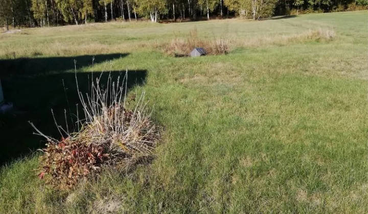 Działka budowlana Dąbrowa Wielka