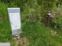 Działka rolno-budowlana Rzepowo. Zdjęcie 2