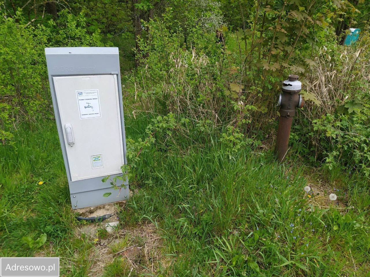 Działka rolno-budowlana Rzepowo. Zdjęcie 3