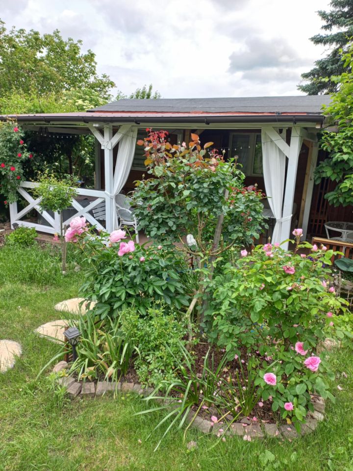 Działka rod Dys Bernatówka, ul. Bernatówka. Zdjęcie 17