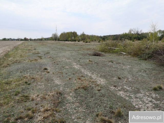 Działka budowlana Bartodzieje. Zdjęcie 1