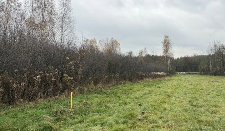 Działka budowlana Jasień, ul. Jagodowa