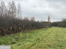 Działka budowlana Jasień, ul. Jagodowa