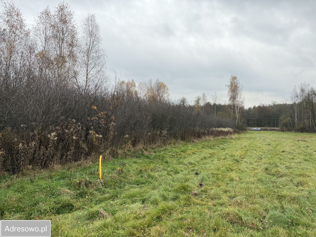 Działka budowlana Jasień, ul. Jagodowa