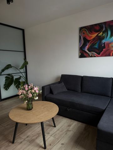 Mieszkanie 1-pokojowe Wrocław Śródmieście, ul. Legnicka. Zdjęcie 1