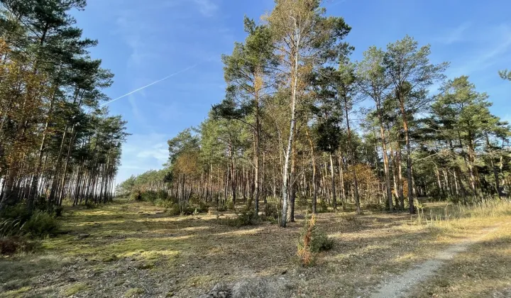 Działka budowlana Młyniska