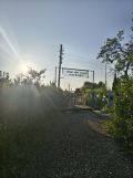 Działka rod Poznań Wilda. Zdjęcie 1