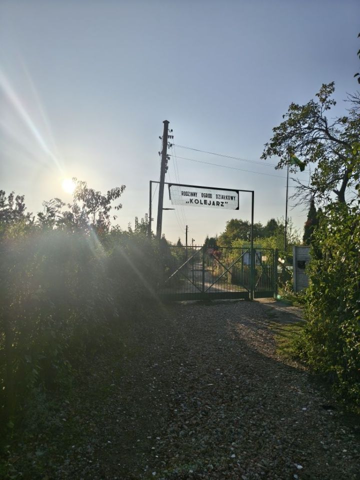 Działka rod Poznań Wilda. Zdjęcie 2