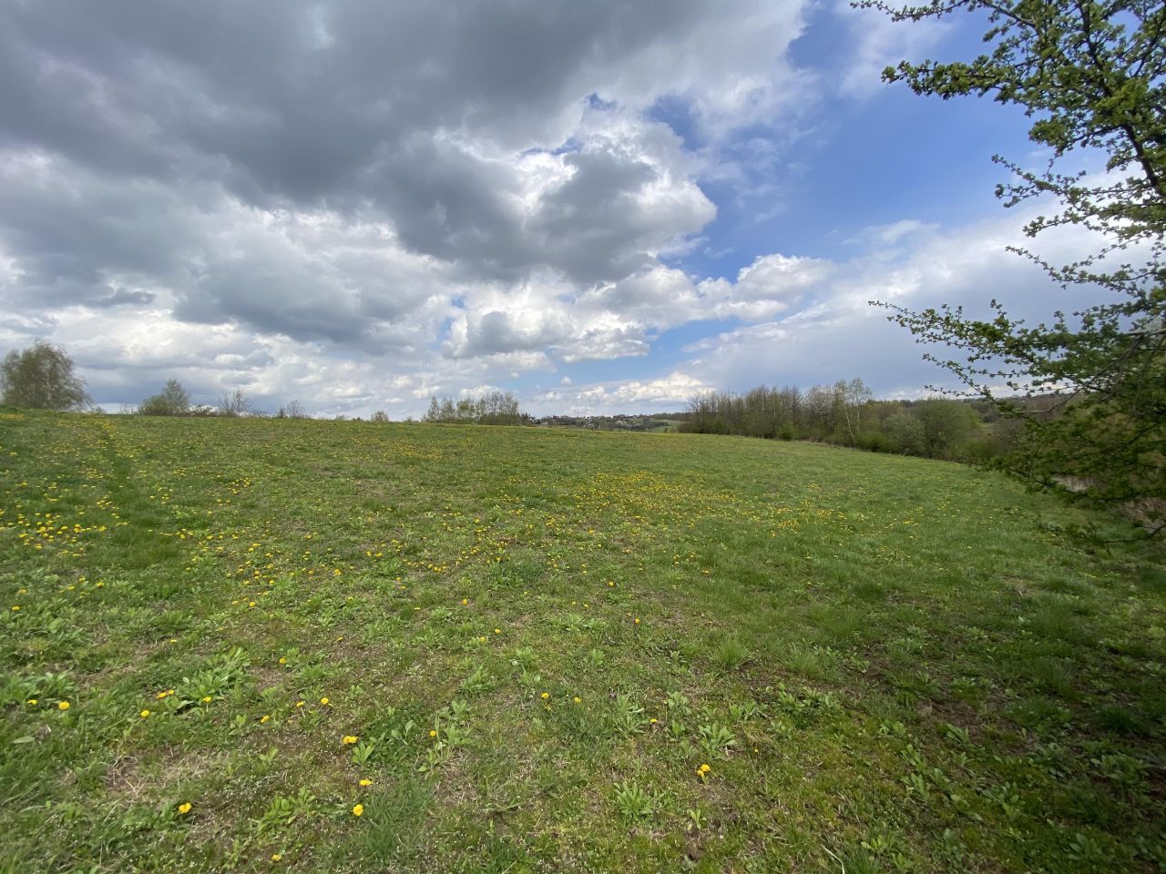 Działka rolna Grębynice, ul. Studencka. Zdjęcie 4