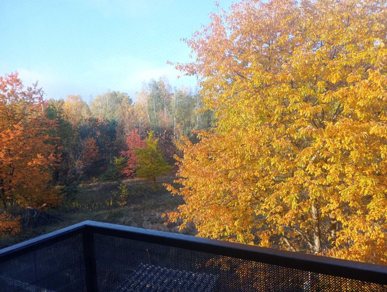 bliźniak Warszawa Wesoła. Zdjęcie 2