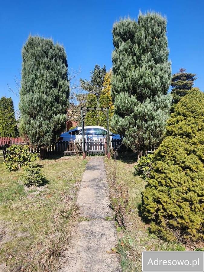 Działka rod Szałe. Zdjęcie 8