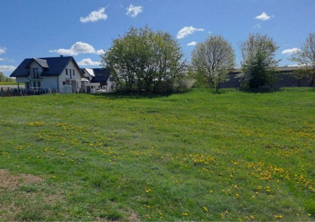 Działka rolna Łążyn. Zdjęcie 1