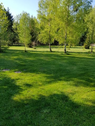 Działka rekreacyjna Szczechy Małe. Zdjęcie 5