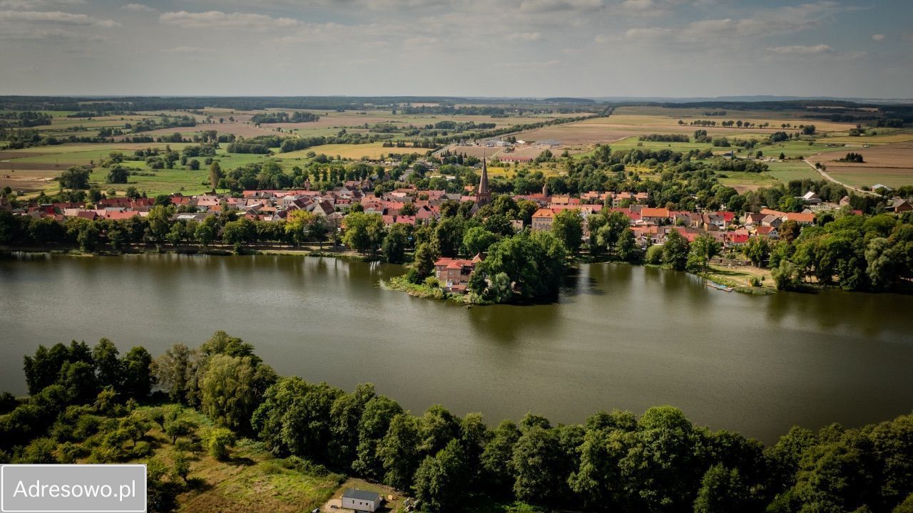 Działka rekreacyjna Trzcińsko-Zdrój. Zdjęcie 10