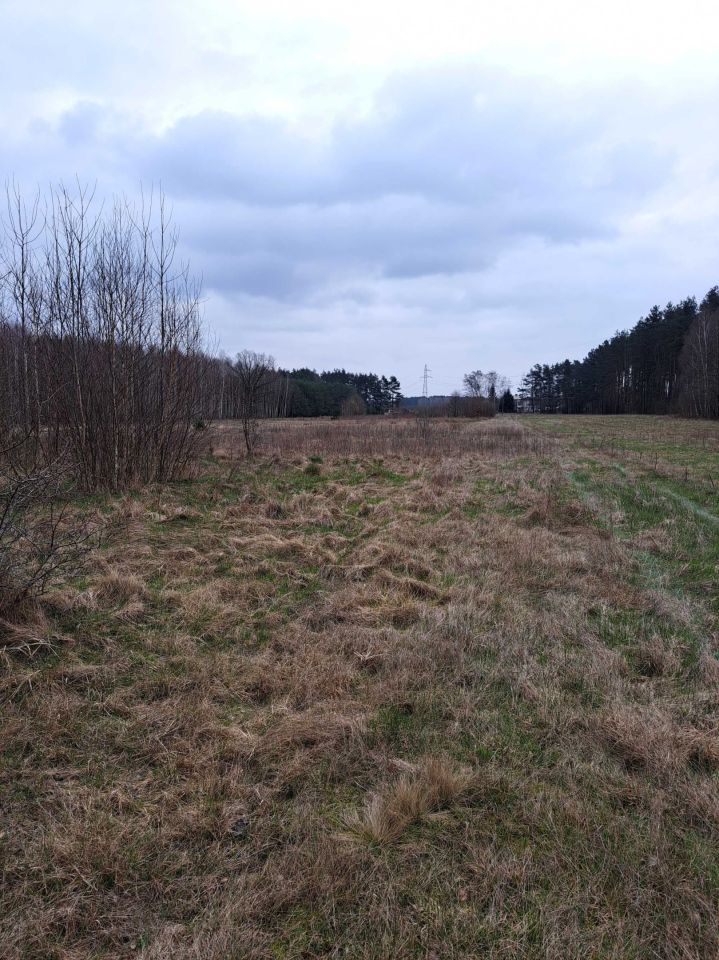 Działka budowlana Okrąglik. Zdjęcie 2