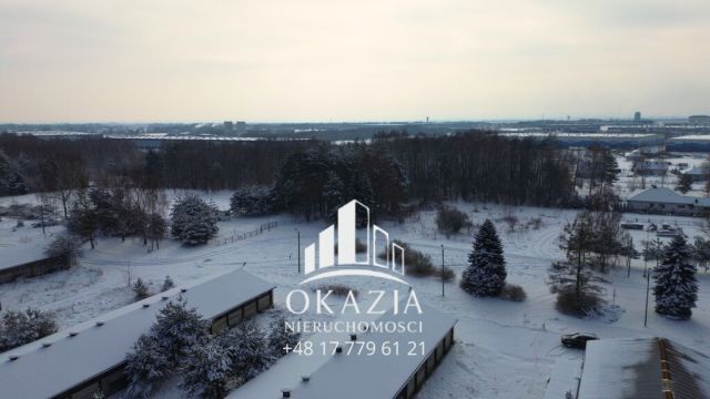 Działka inwestycyjna Wysoka Głogowska. Zdjęcie 17