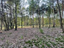 Działka budowlana Skierniewice Feliksów, ul. Przechodnia. Zdjęcie 3
