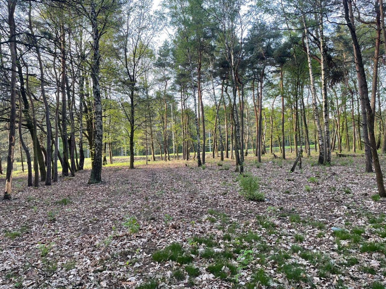 Działka budowlana Skierniewice Feliksów, ul. Przechodnia. Zdjęcie 4