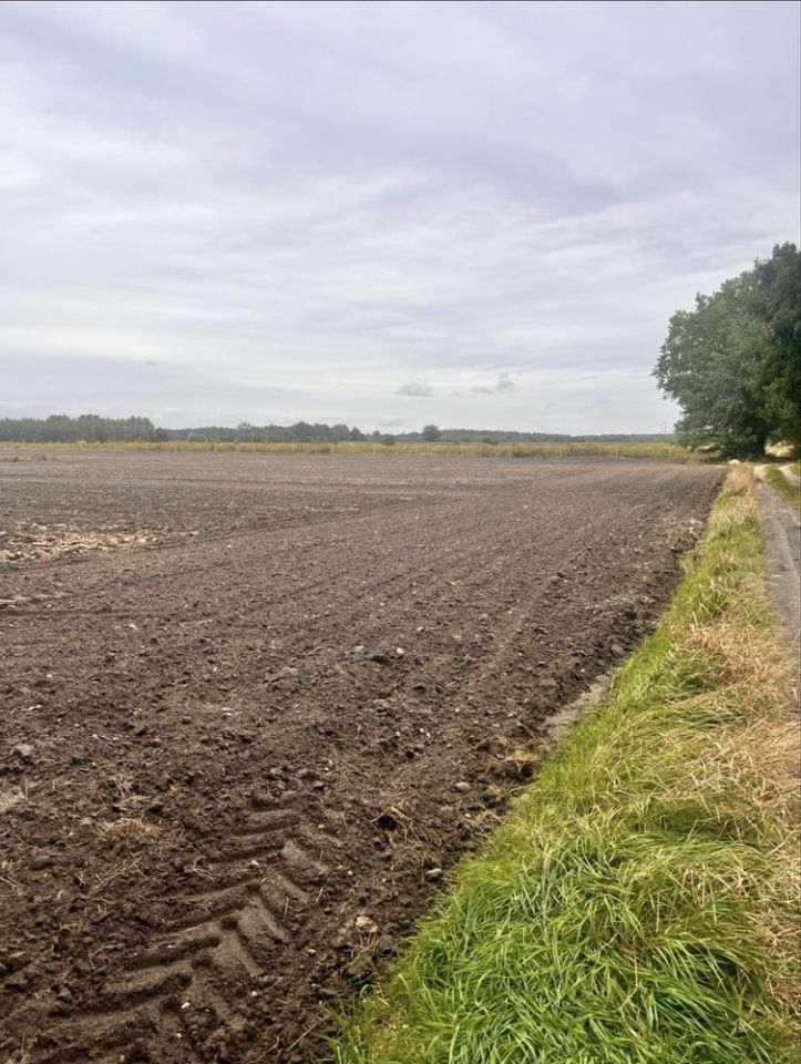 Działka budowlana Borowa. Zdjęcie 2
