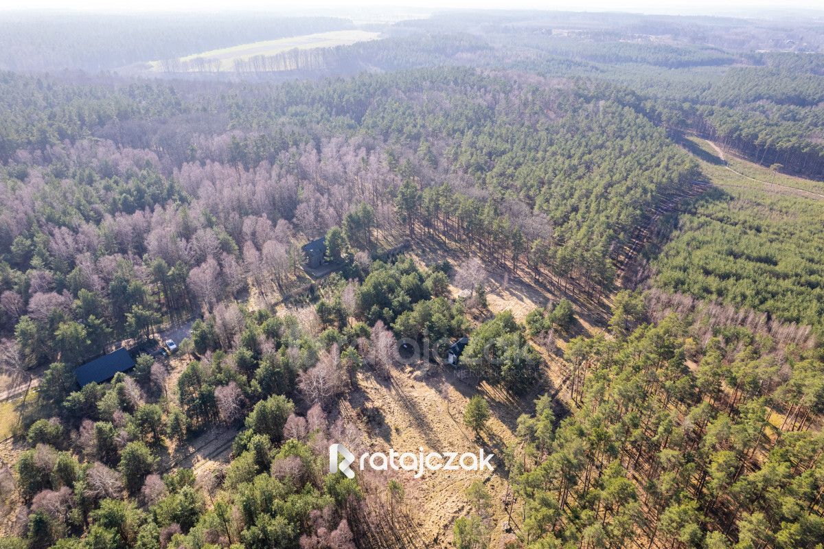 Działka budowlana Sasino, ul. Stara Cegielnia. Zdjęcie 12