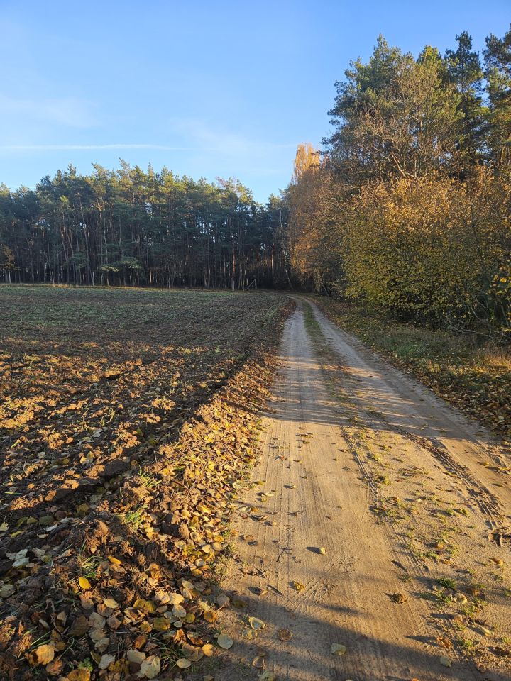 Działka budowlana Kubice Raki. Zdjęcie 6