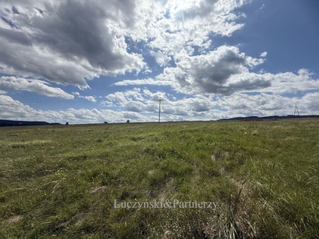 Działka inwestycyjna Olszyny. Zdjęcie 6