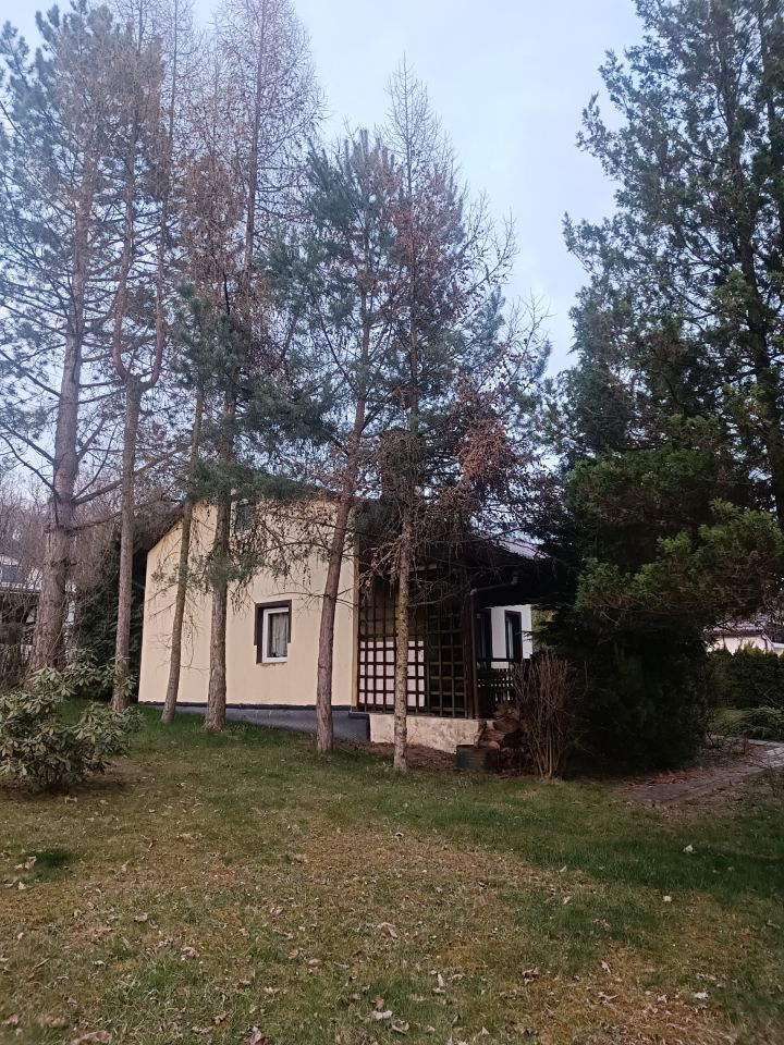 Działka rod Racibórz Brzezie, ul. Brzeska. Zdjęcie 3