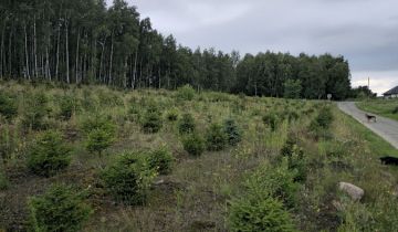 Działka budowlana Czernikowo