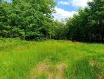 Działka rolno-budowlana Siedlików. Zdjęcie 1