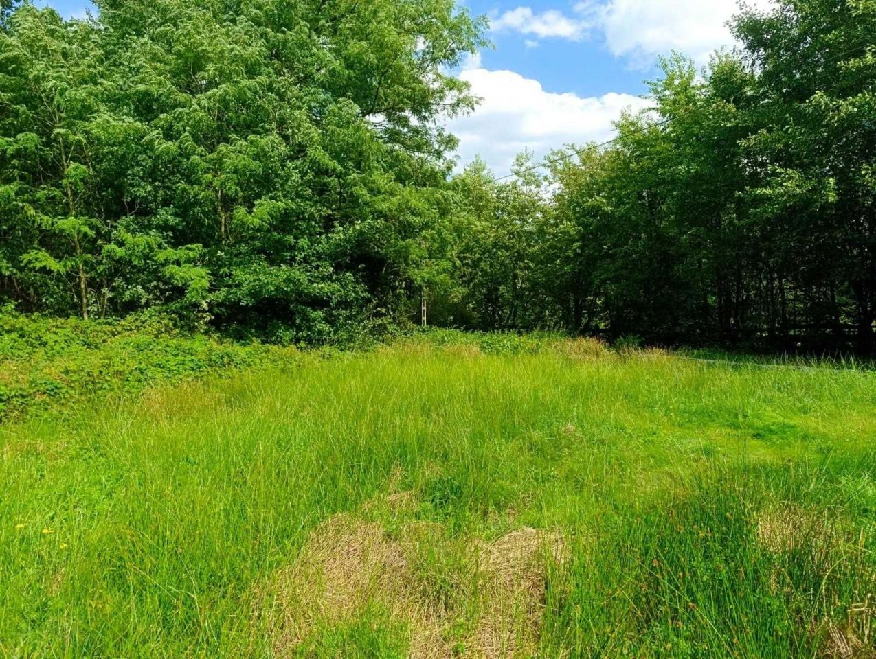 Działka rolno-budowlana Siedlików. Zdjęcie 2