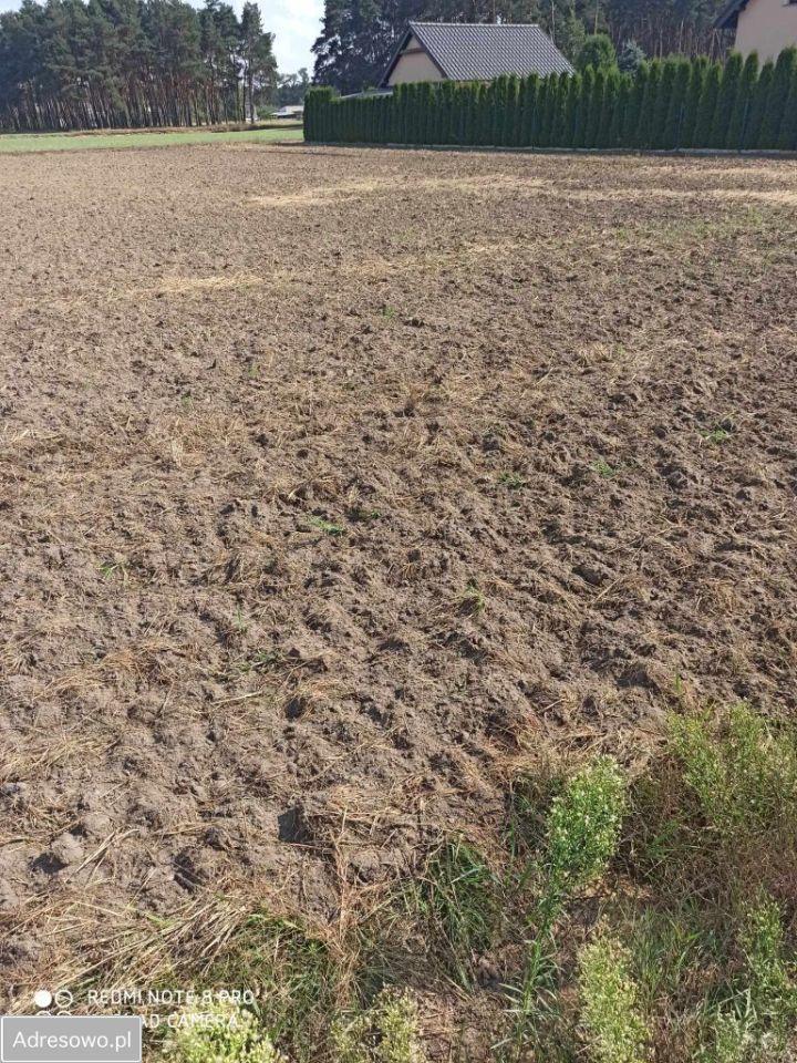 Działka budowlana Niedźwiedź. Zdjęcie 7