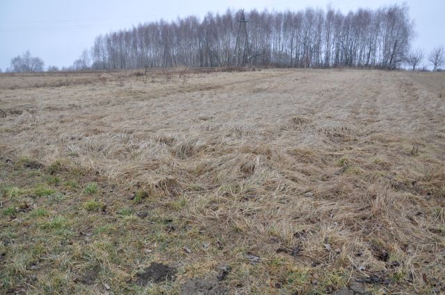 Działka rekreacyjna Widaczów Dział. Zdjęcie 1