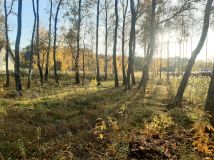 Działka budowlana Bukowiec, ul. Bukowa