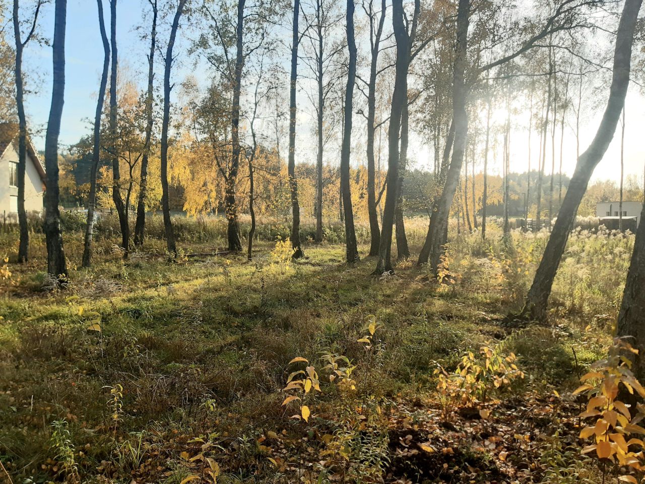 Działka budowlana Bukowiec, ul. Bukowa