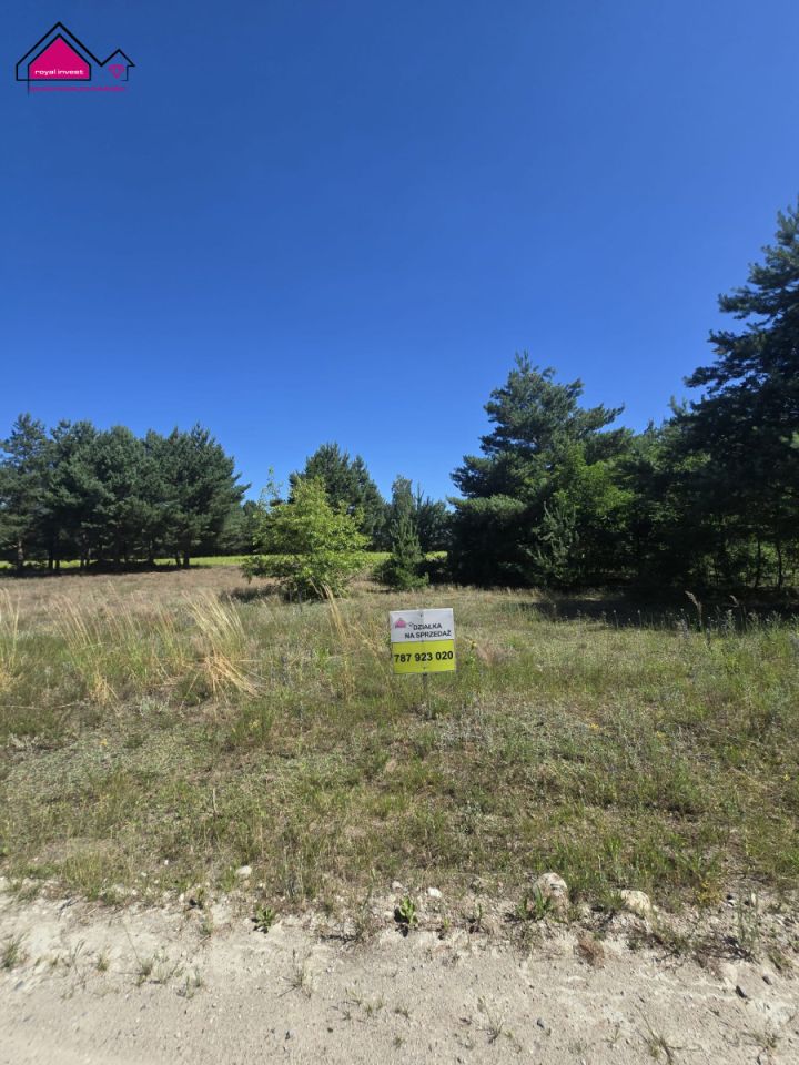 Działka budowlana Korwin. Zdjęcie 2