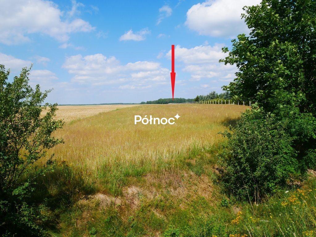 Działka rolna Zebrzydowa. Zdjęcie 2