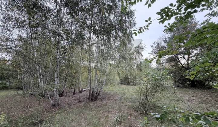Działka budowlana Sierzchów, ul. Słoneczna
