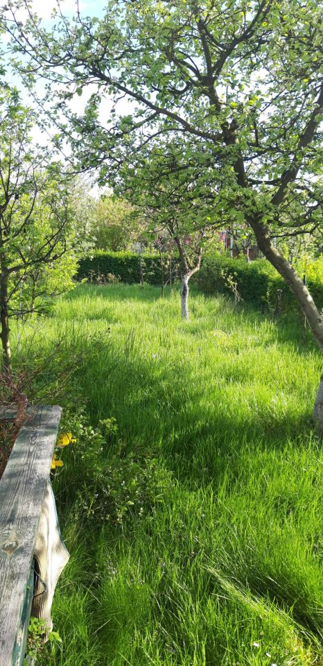 Działka rod Brzeg, ul. Małujowicka. Zdjęcie 3